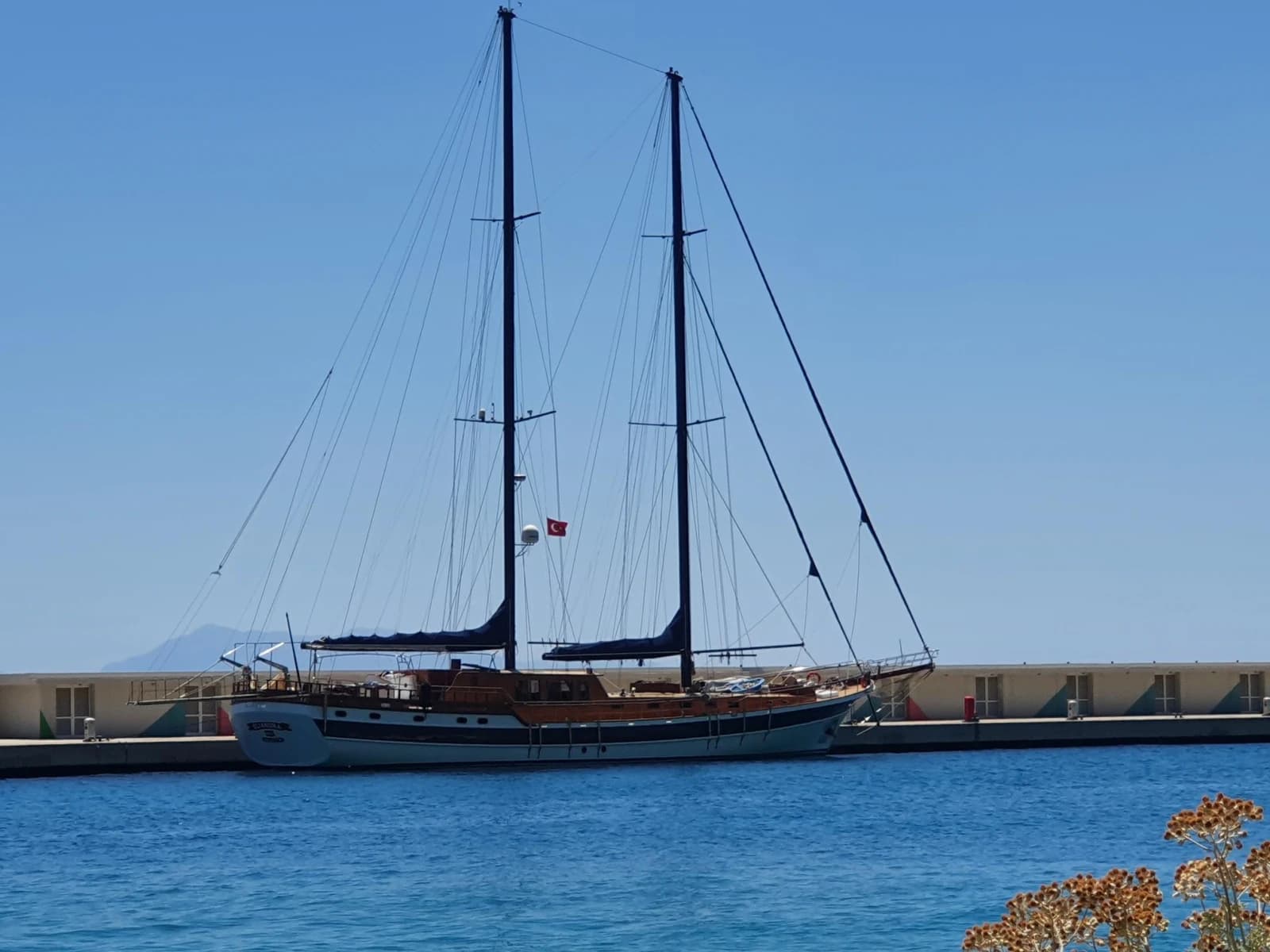Elianora
