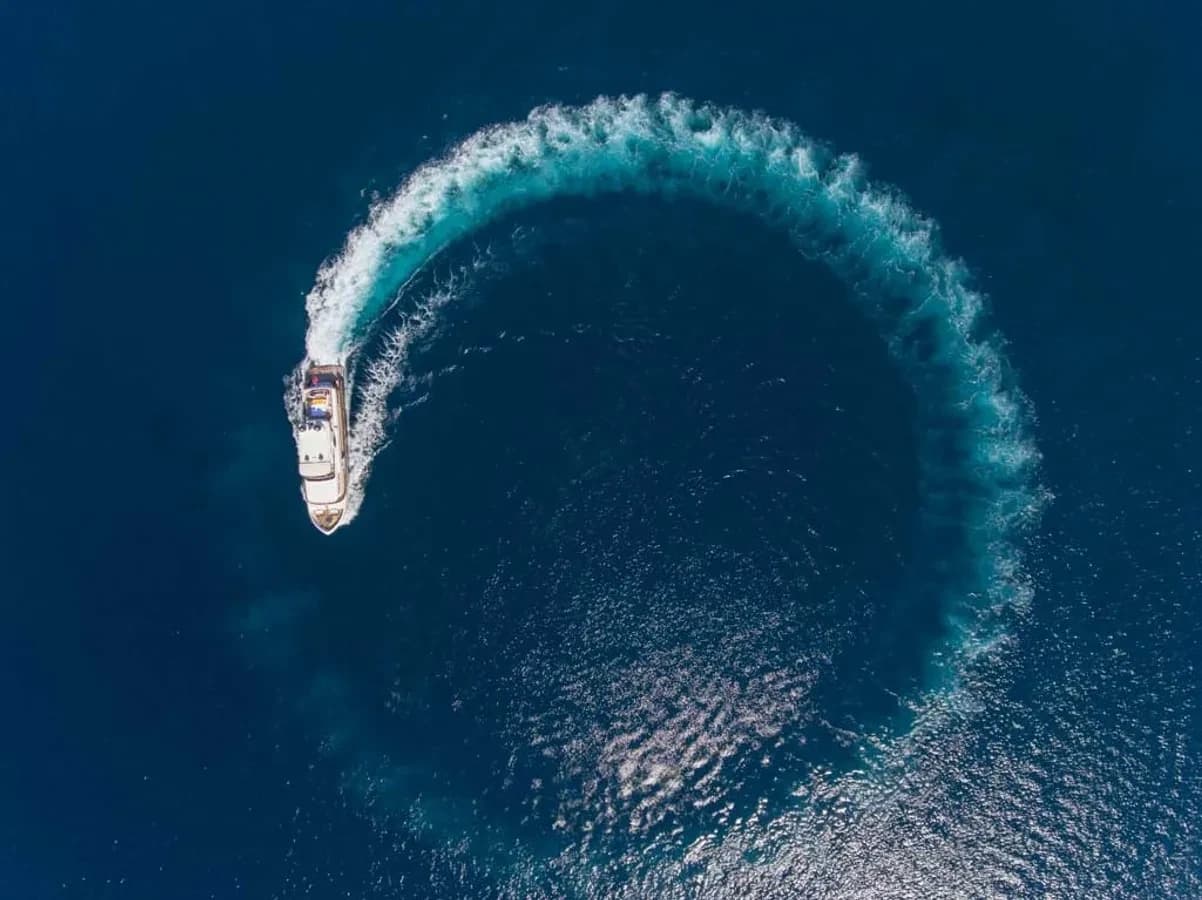 Sea Angel