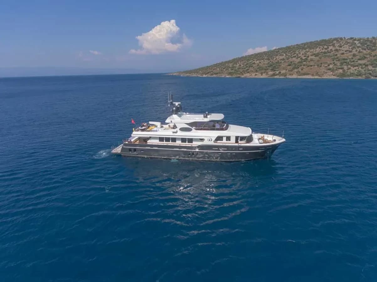 Sea Angel