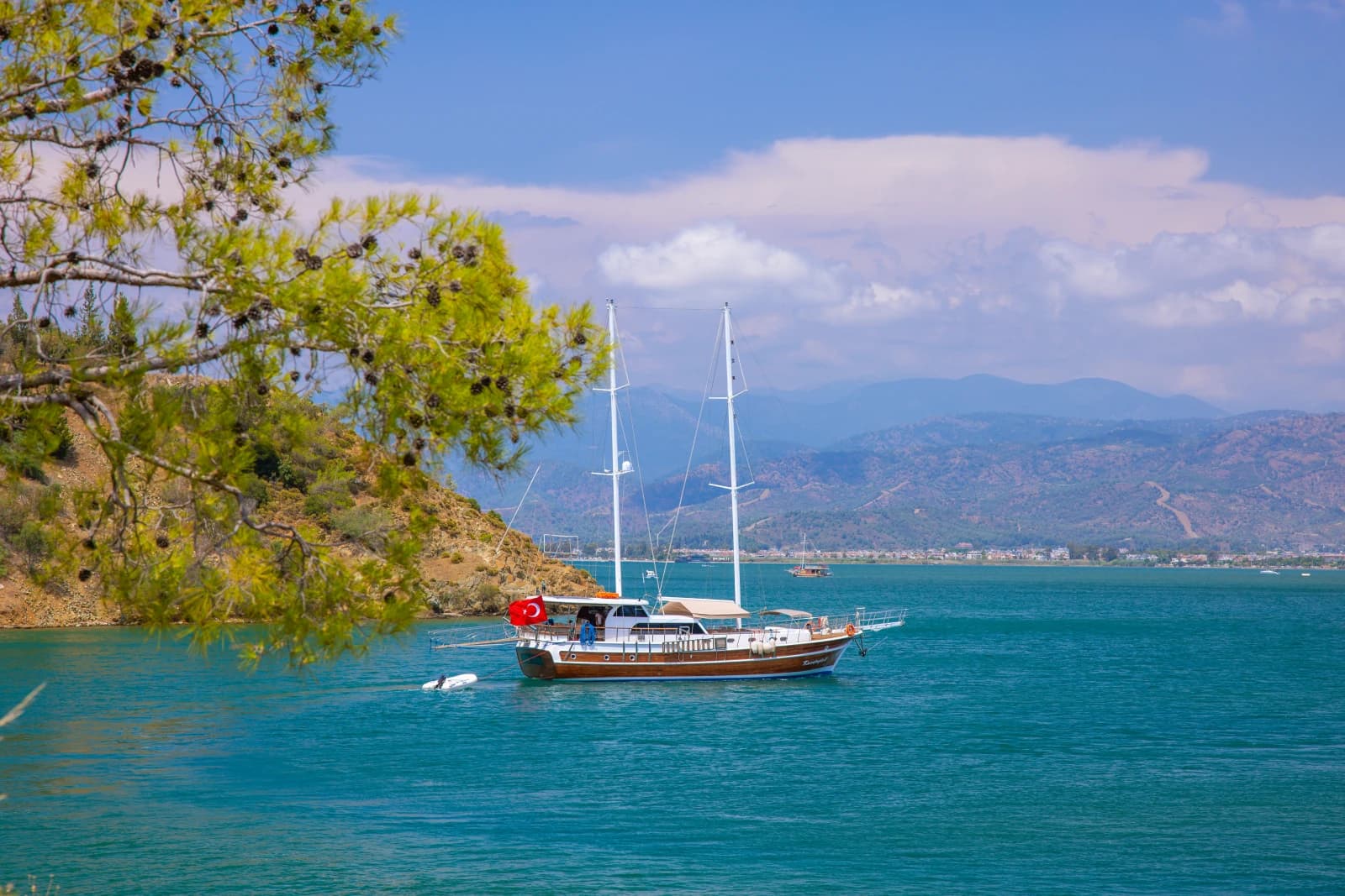 Kasapoglu 6