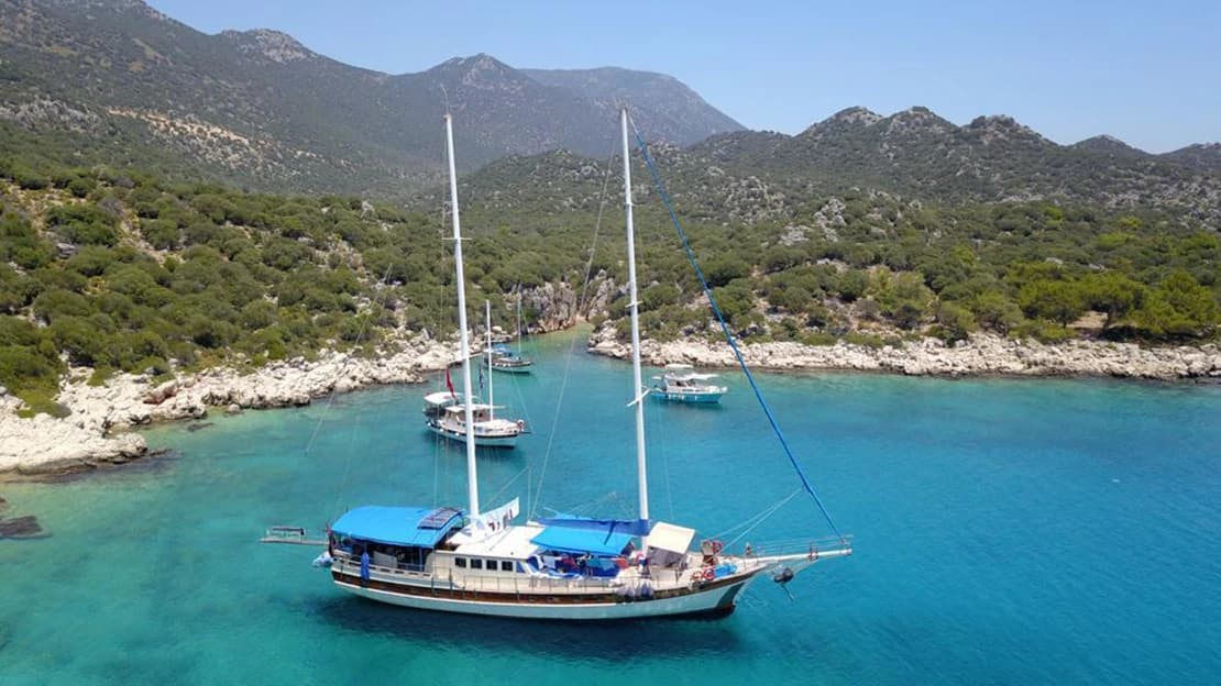 Kasapoglu 5