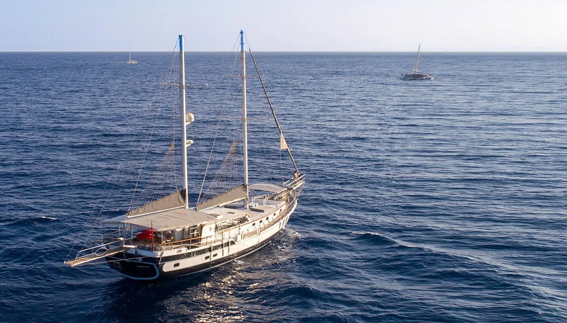 Grand Sailor